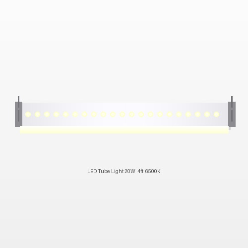LED Tube Light